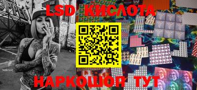 прущие грибы Моздок