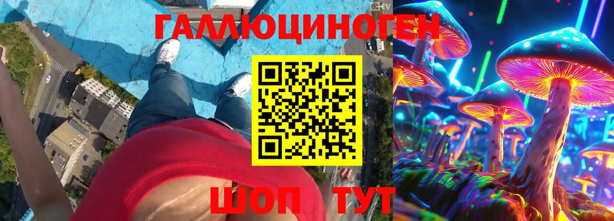 Галлюциногенные грибы Psilocybe  Вход с VPN  Таганрог  Псилоцибиновые грибы мицелий 