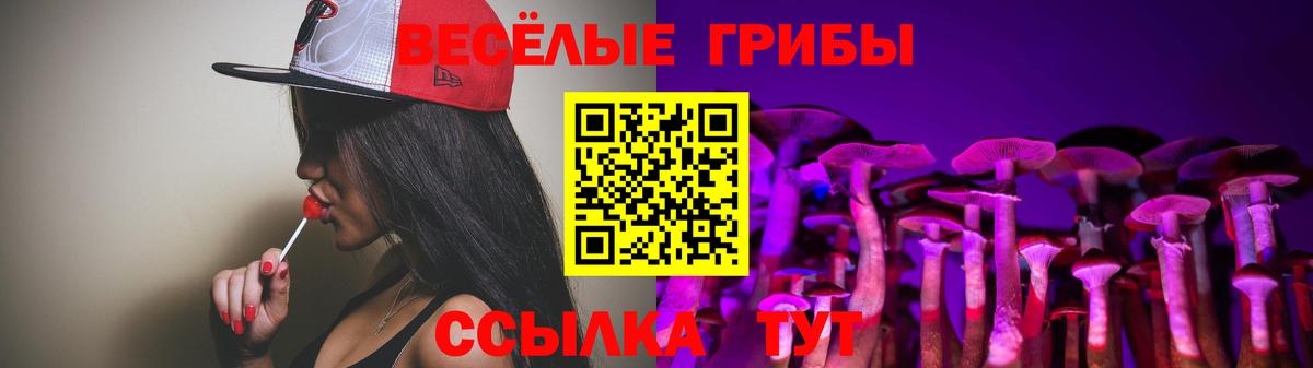 Псилоцибиновые грибы мухоморы Таганрог